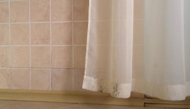 Best Dehumidification Services  in Swift Trail Junction, AZ