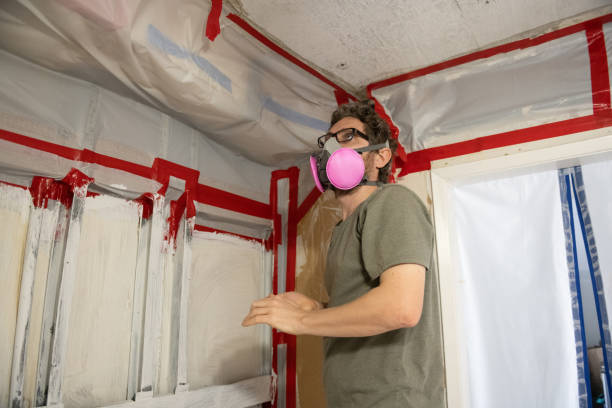 Best Mold Damage Restoration  in Swift Trail Junction, AZ