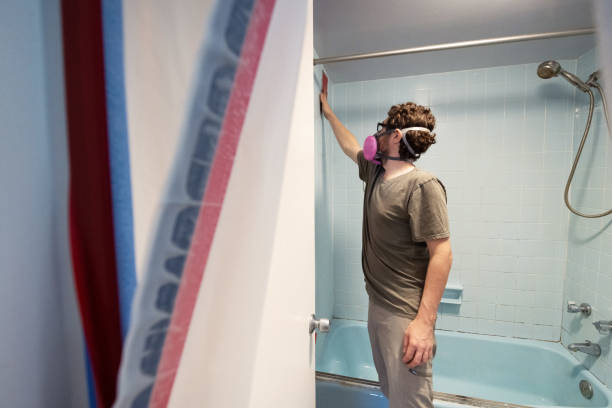 Best Asbestos and Lead Testing During Mold Inspection  in Swift Trail Junction, AZ
