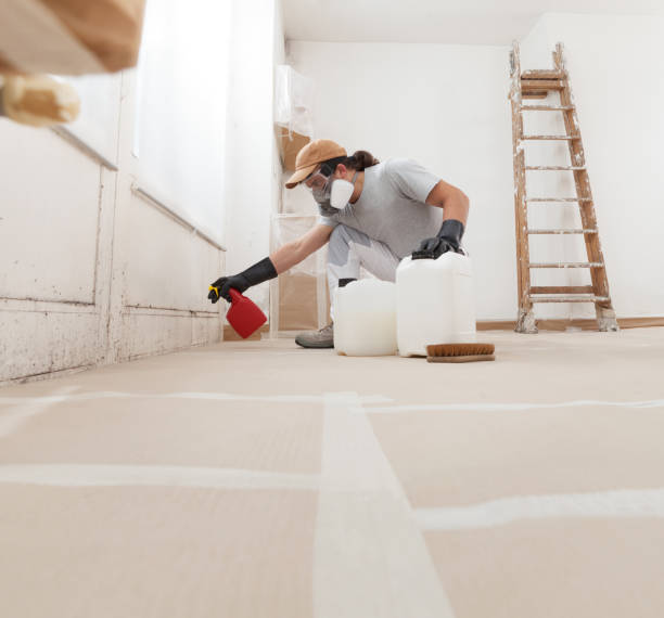 Best Mold Odor Removal Services  in Swift Trail Junction, AZ
