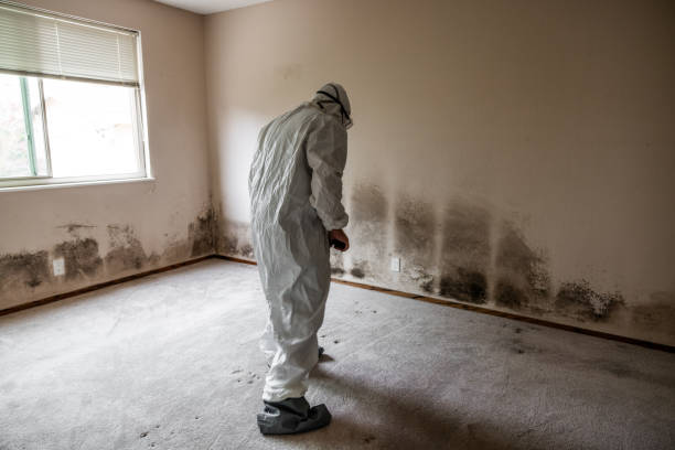 Best Mold Remediation for Healthcare Facilities  in Swift Trail Junction, AZ